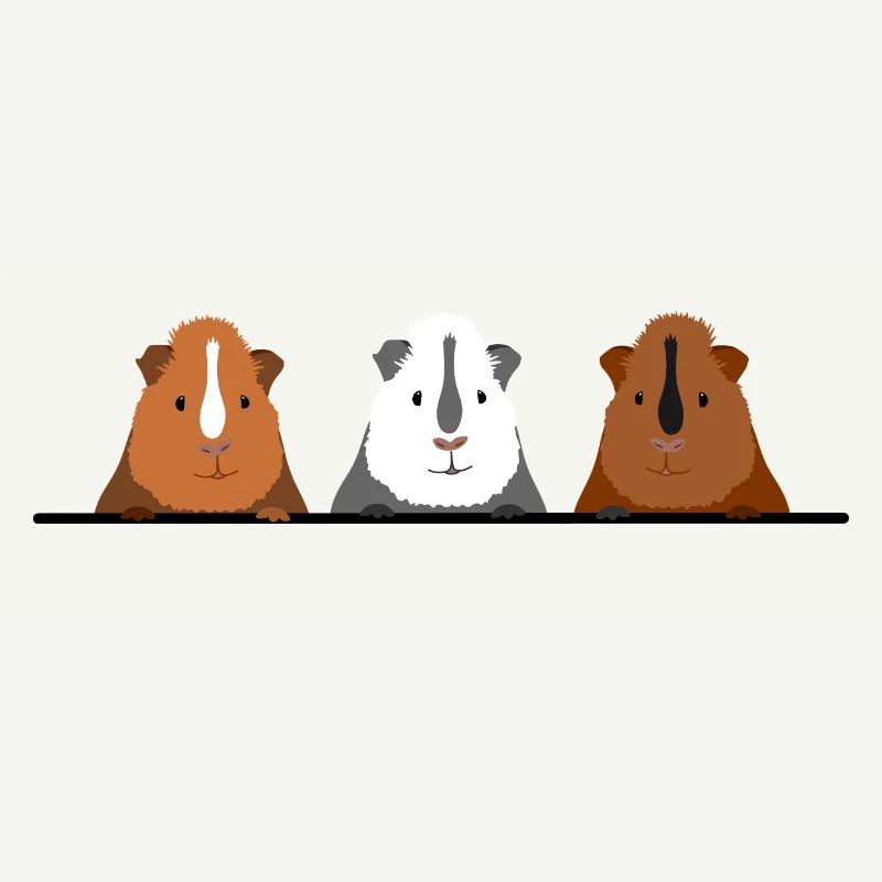 Cadeau mignon de 3 cochons d'Inde