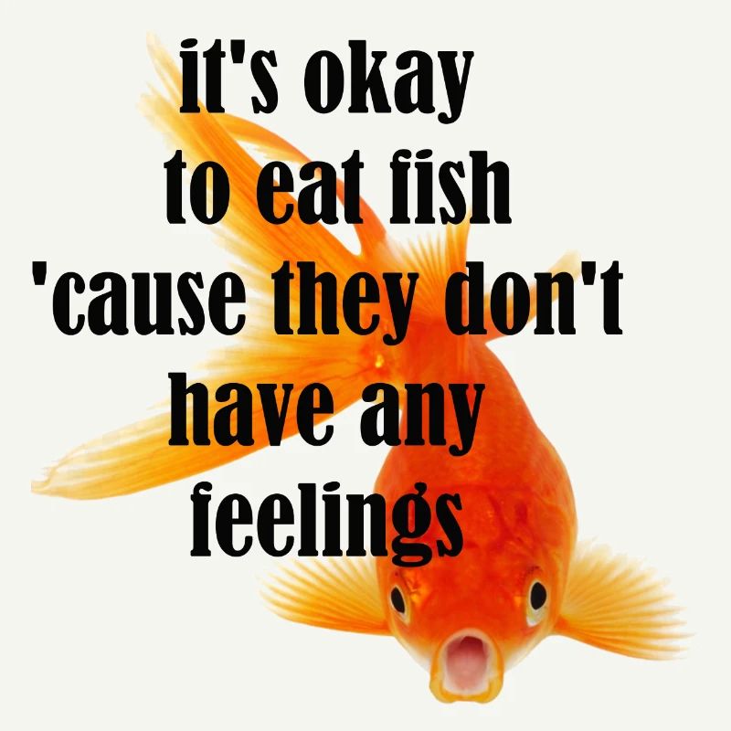 son ok pour manger du nirvana de poisson