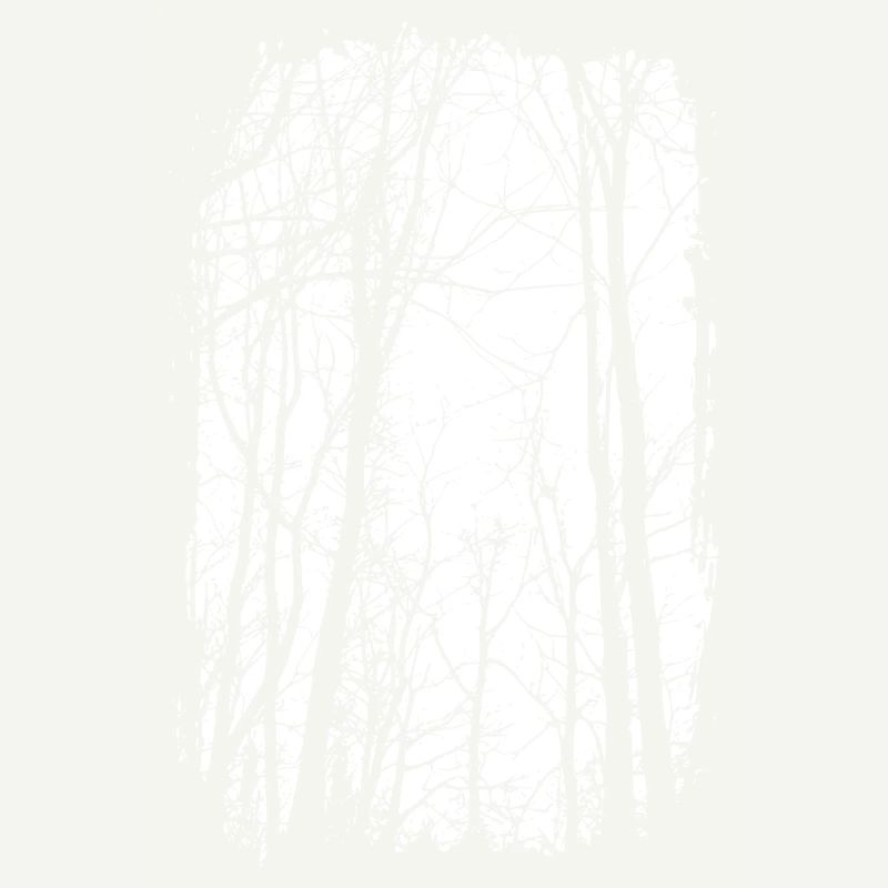 Forêt - noir/blanc - Nature - Art durable