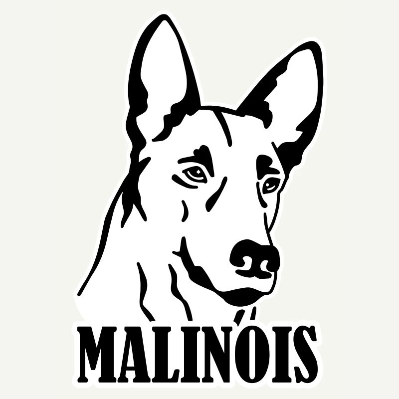 malinois