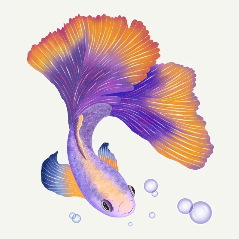 Fish. Elegant under water