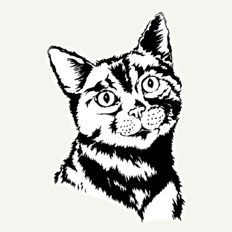 Katzenblick