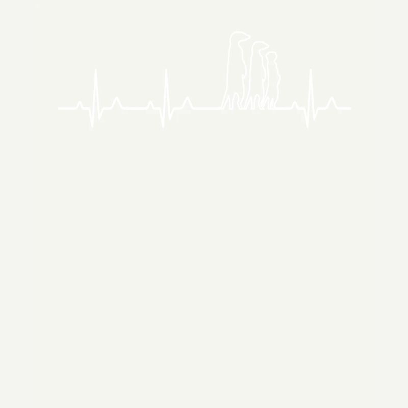 Erdmännchen EKG Herzschlag