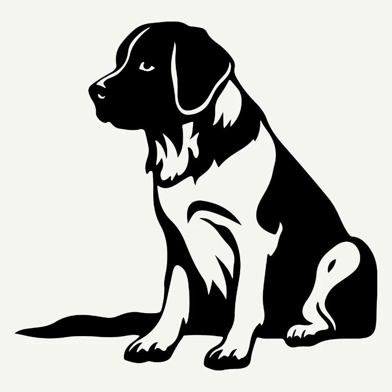 Saint Bernard Hund
