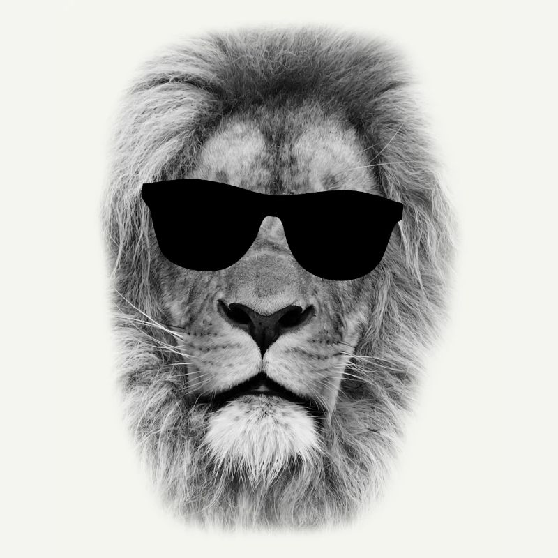 Cool Cat