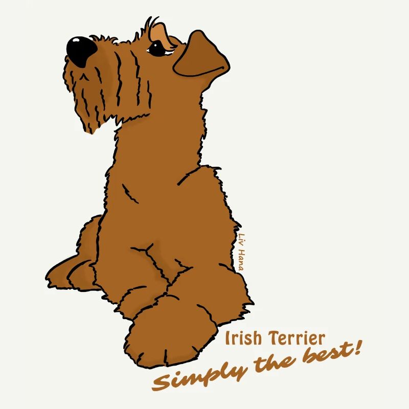 Irish Terrier liegend