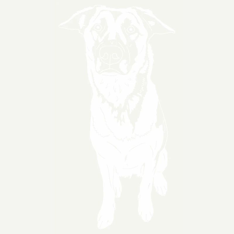 Malinois