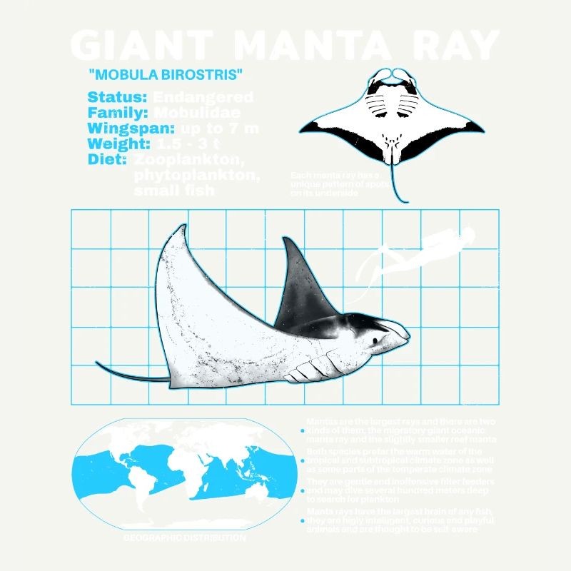 Mantarochen Datenblatt