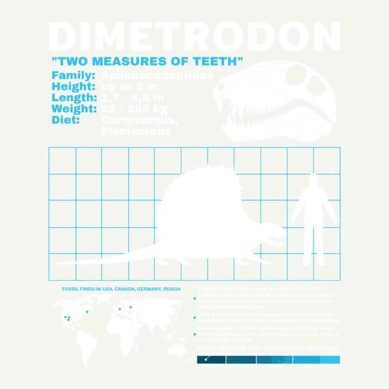 Fiche technique Dimetrodon