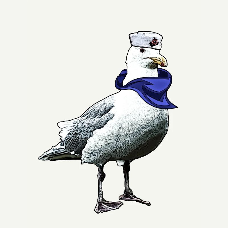 Seefahrer Möwe | Yolo-Artwork