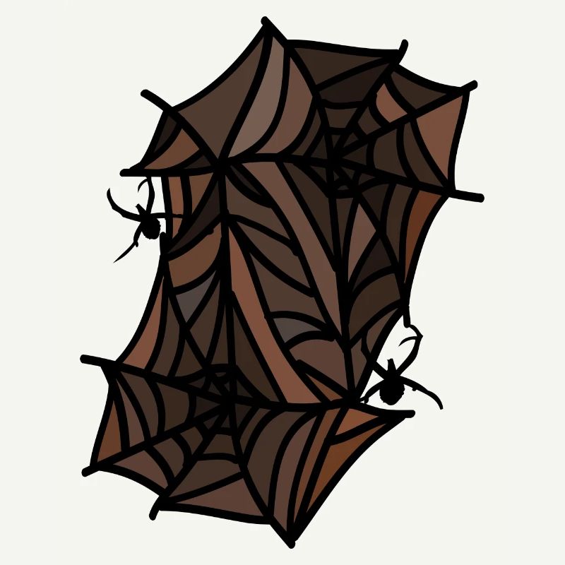 spiders spider webs