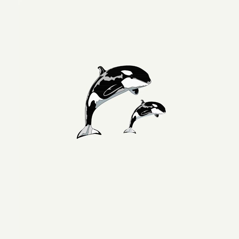Orca Wales jumping