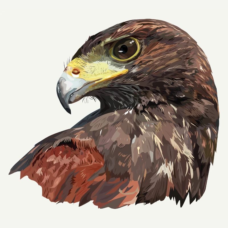 Red and black hawk