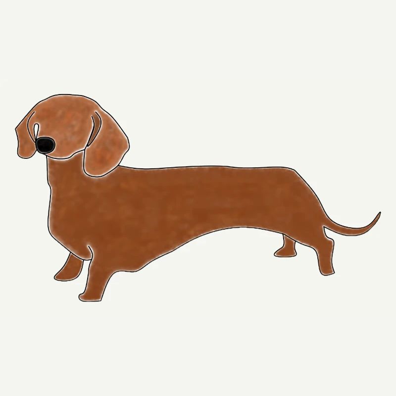 Sausage Dog
