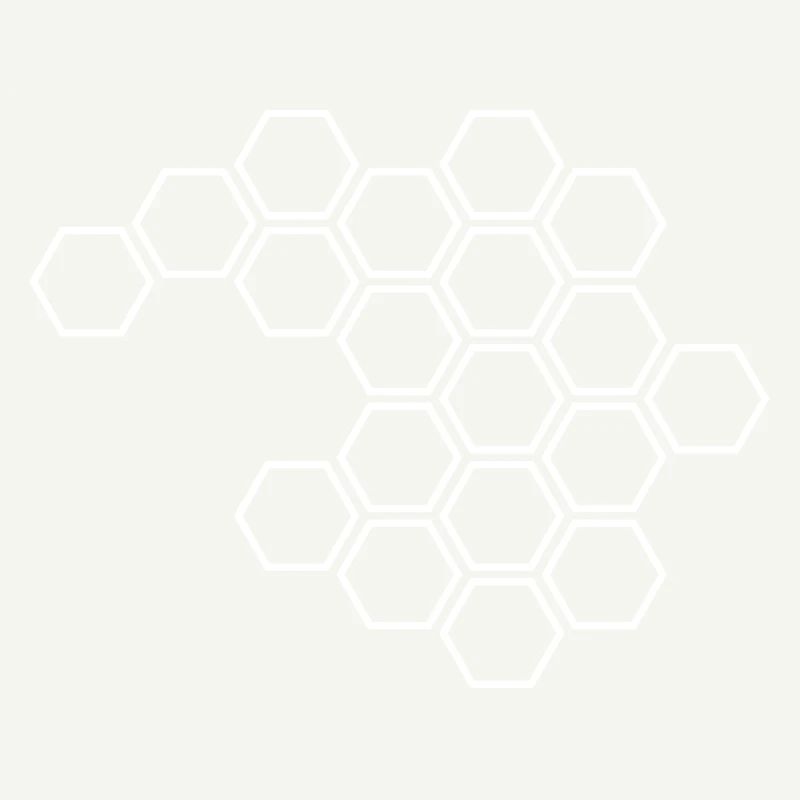 Hexagones blancs