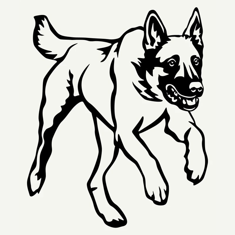 Malinois