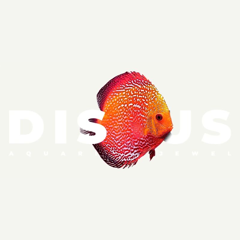 Discus Cichlidé Poissonnier