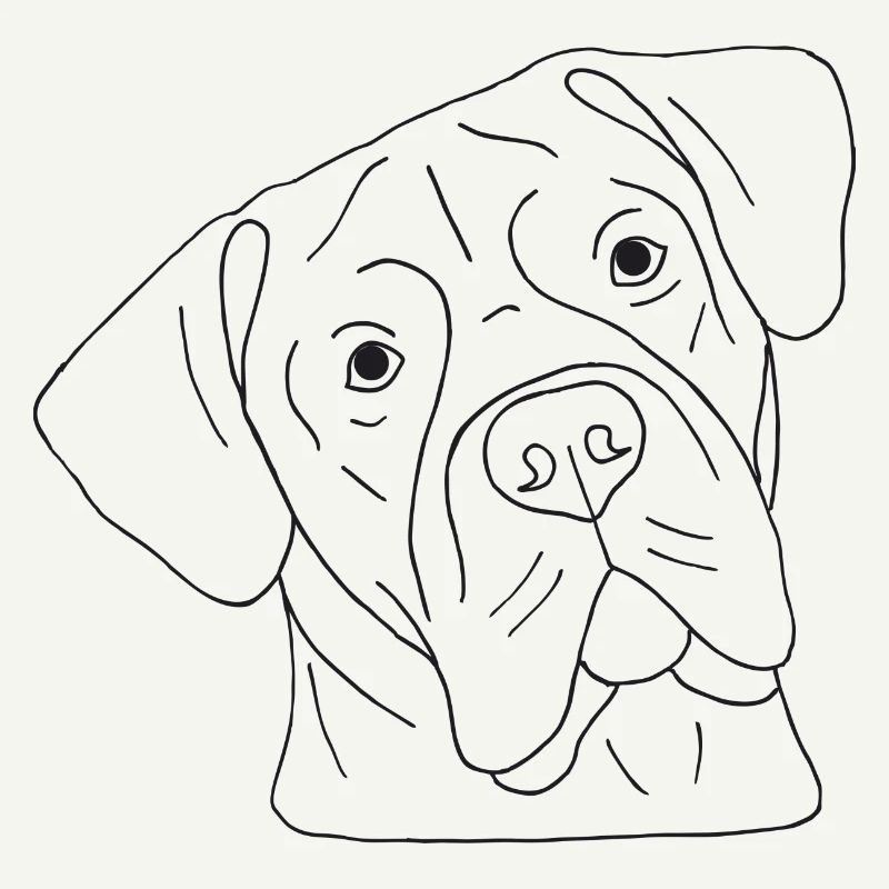 Cane Corso