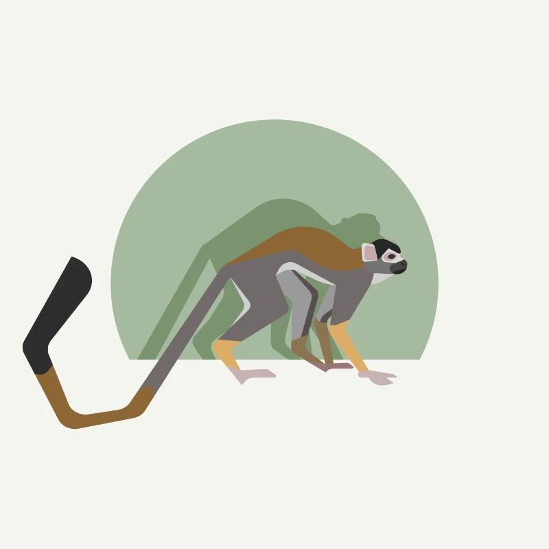 Squirrel monkey