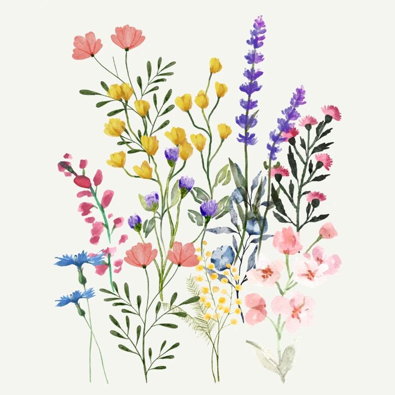 Prairie d’été