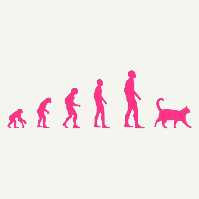 Cat - Evolution