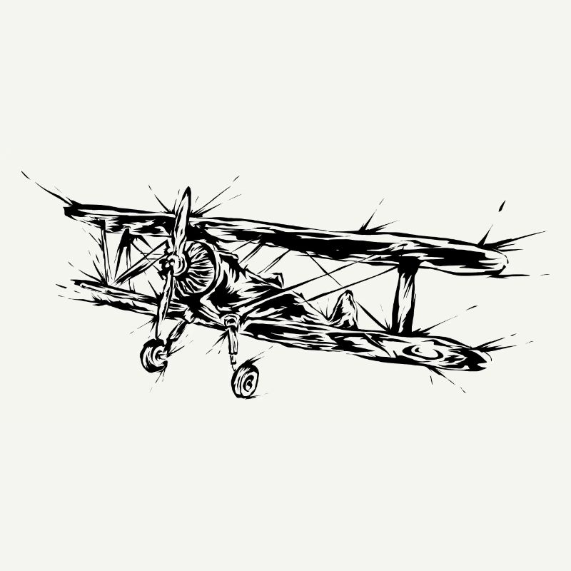 Airplane Pilot