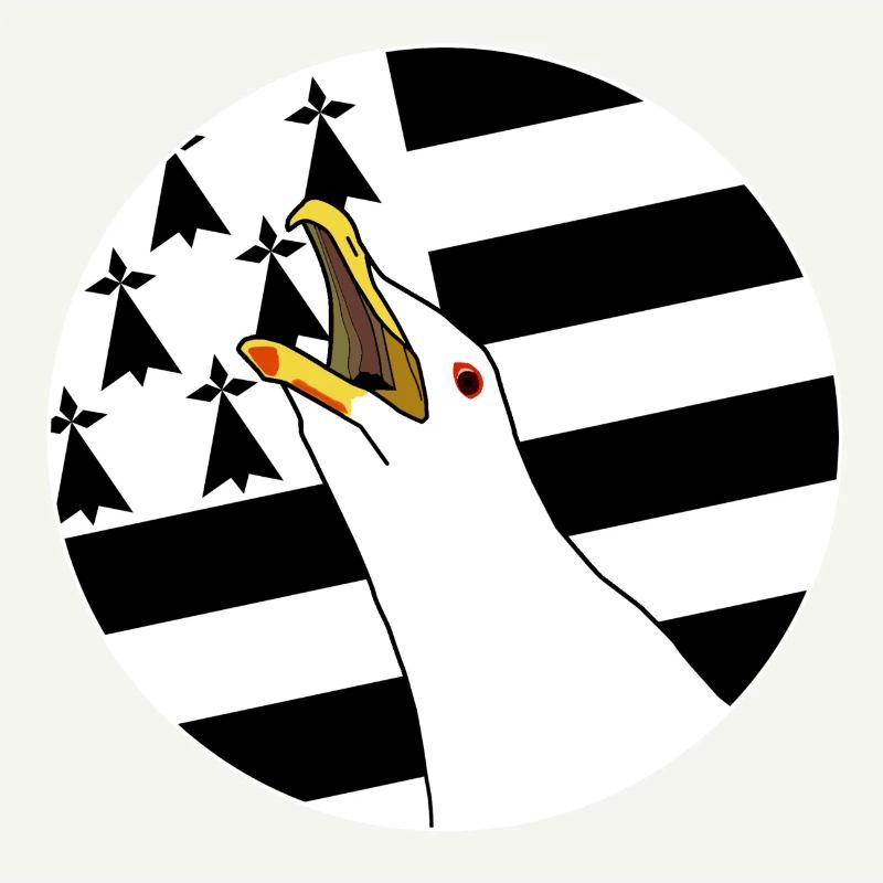 Armorican seagull