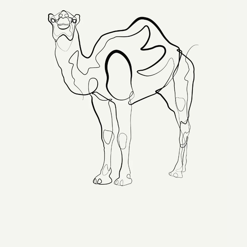 Kamel Domedar - one line drawing