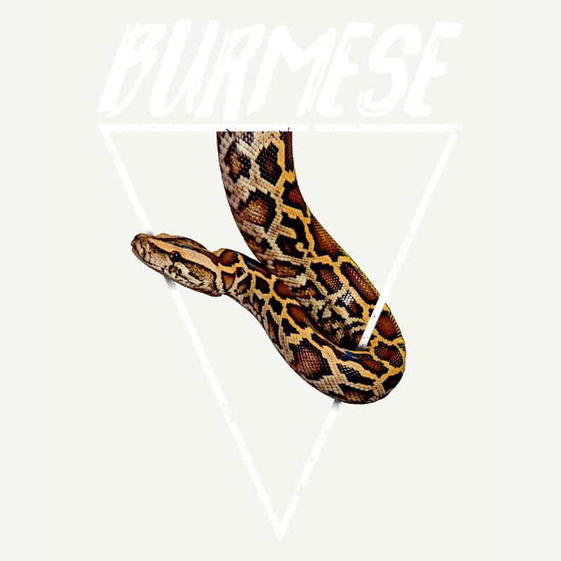 Burmese Python Owner Geometric