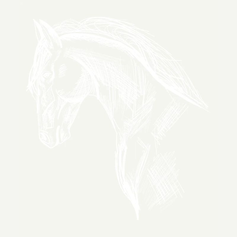 Beautiful horse