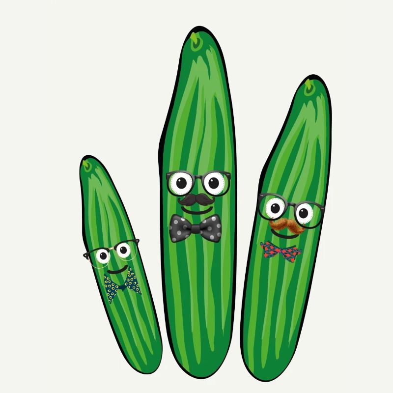 Famille du concombre,Concombre,Concombre,Mouche, Nerd