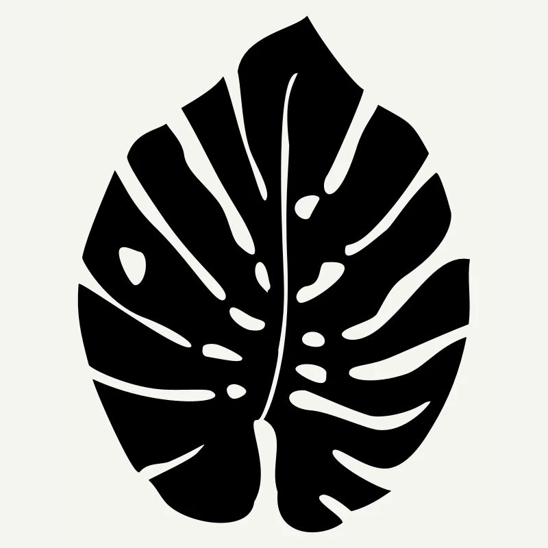Monstera Feuille / Monstera Leaf 1c