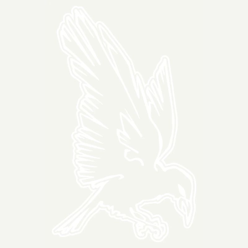 Corbeau Halloween