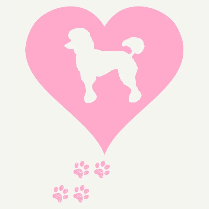 caniche