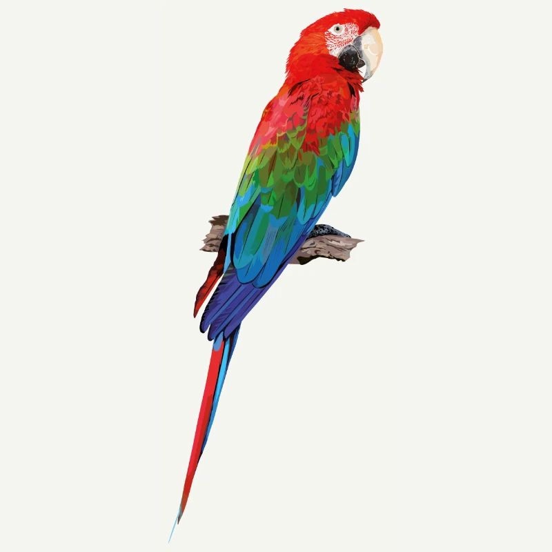 Ara à ailes vertes