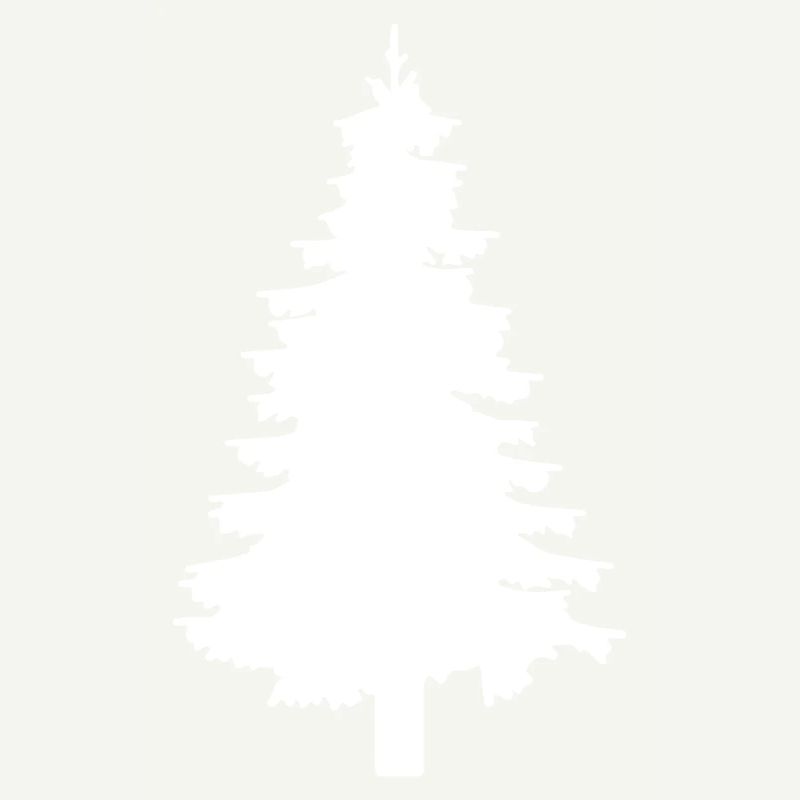 Fir tree