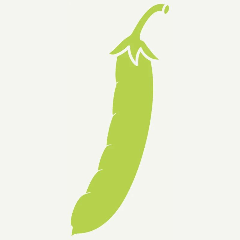 haricot vert