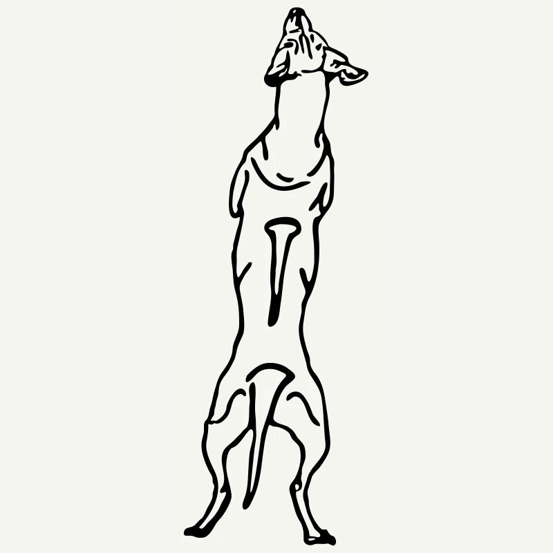 Ridgeback back