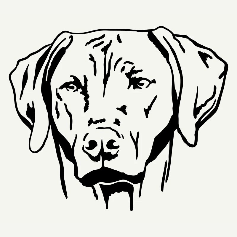 Rhodesian Ridgeback