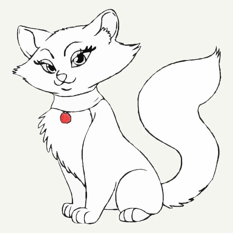 Belle dame de chat