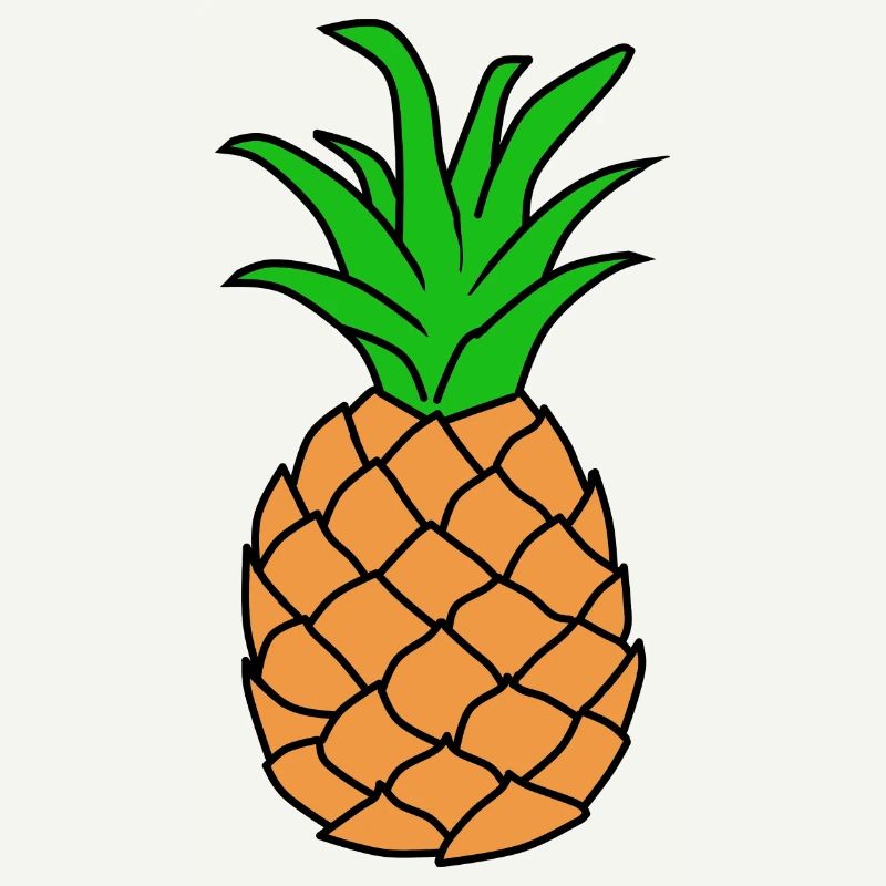 Pineapple Drawing