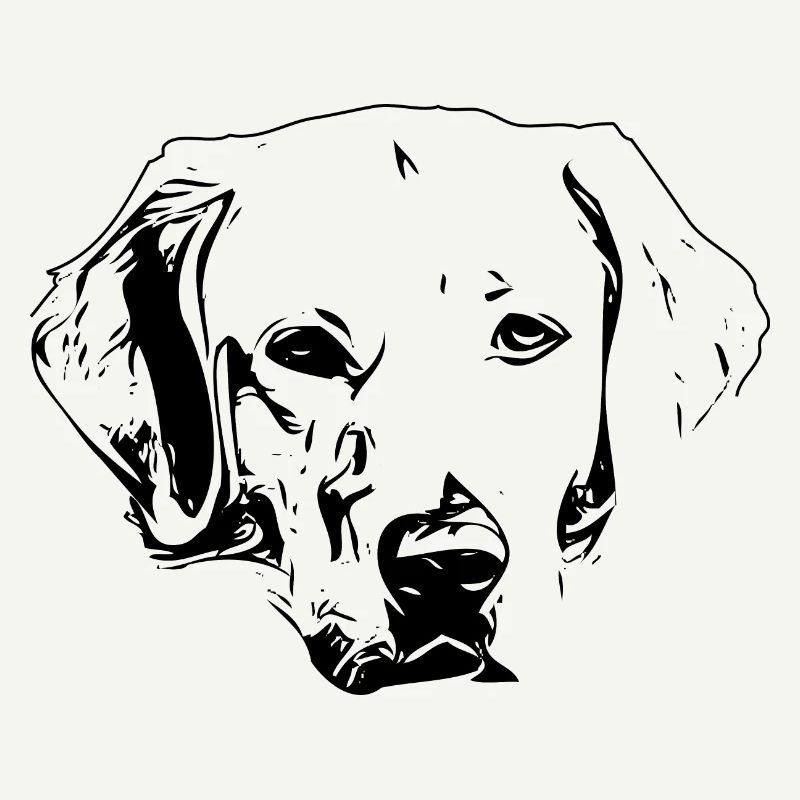 Labrador