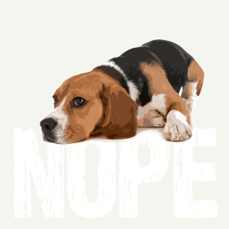 beagle dog