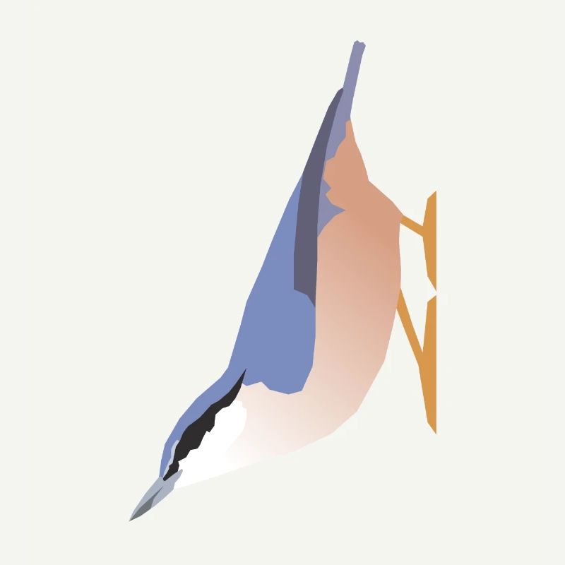 Nuthatch (sitta europaea)