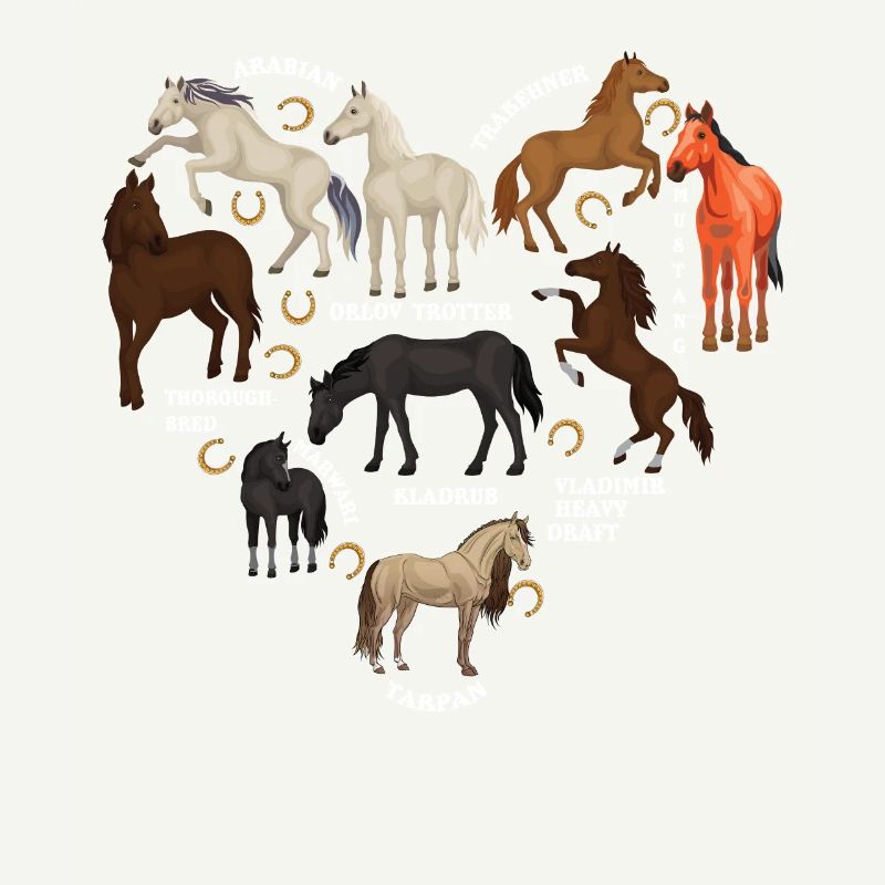 Espèces de chevaux, de chevaux, d’Arabes