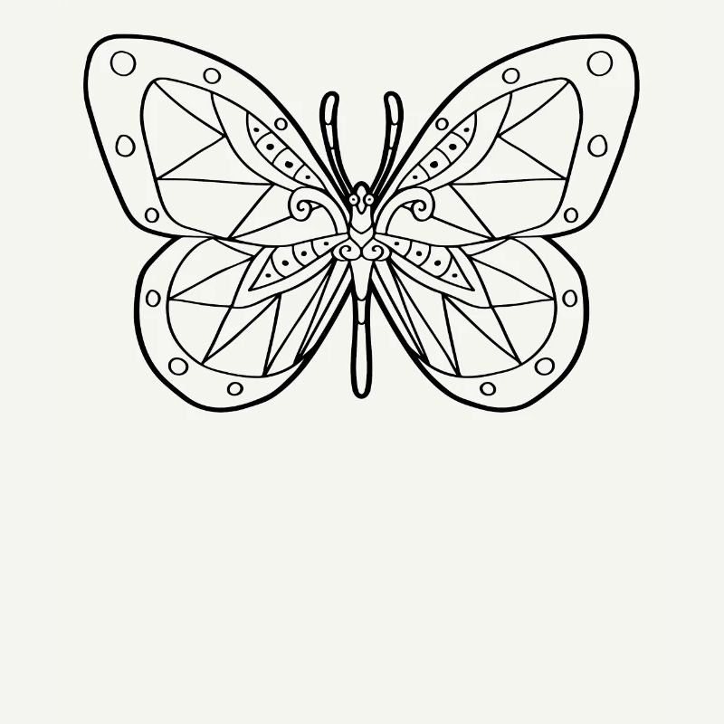 Aztec Butterfly Maya Inca Toltecs