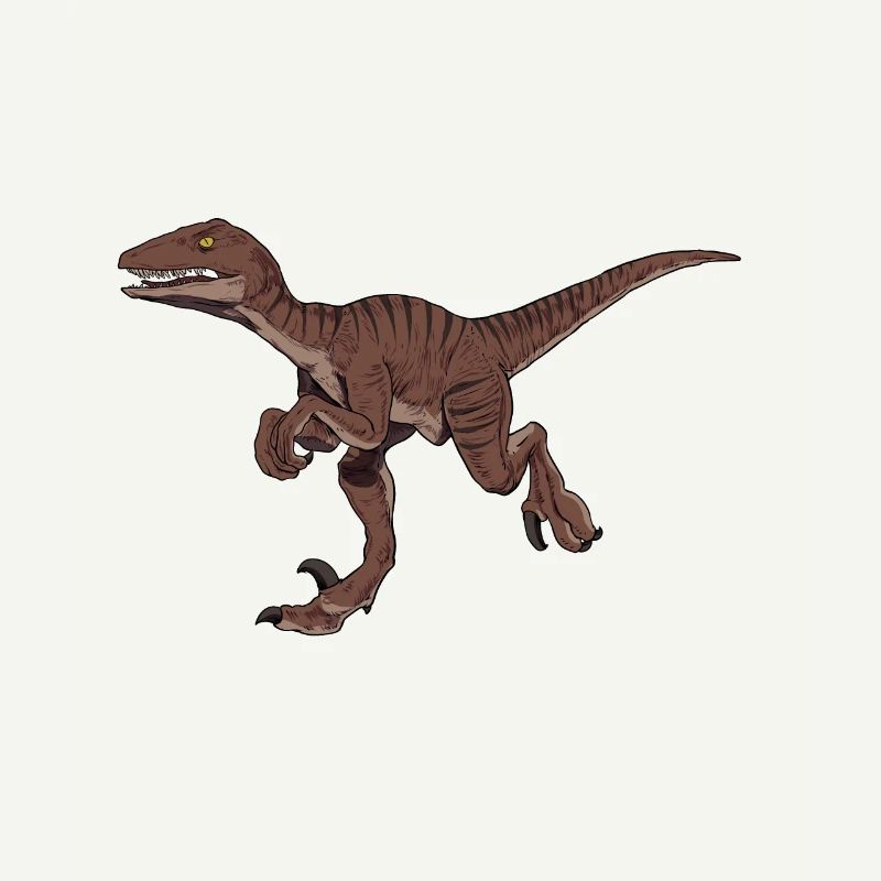 Zeichnung des Velociraptor