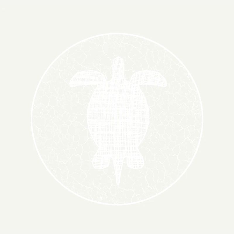 Turtle Schildkröte