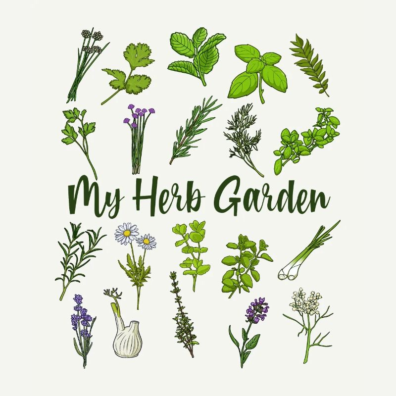 My Herb Garden - Herbs