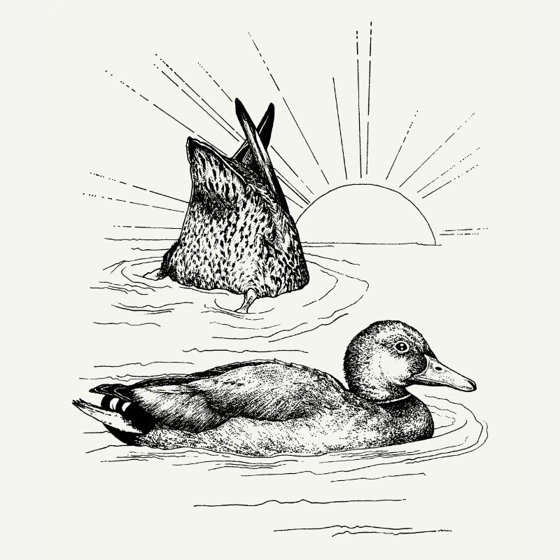LES MALLARDS